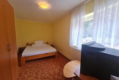 Incadrata de 4.200mp teren, Vila cu potential turistic, in inima Predealului - 18