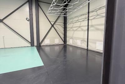 Spațiu industrial, de 595 mp, în Domnești - 16