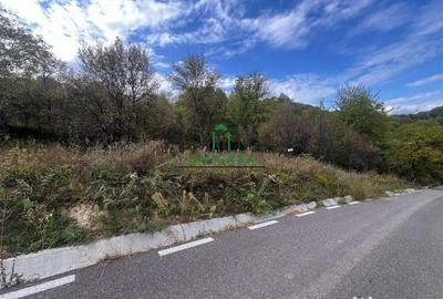 Teren de 828 mp, în Curăturile