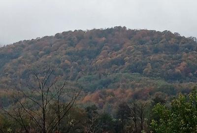 Casa satRostoci com. Plescuta jus. Arad - 1