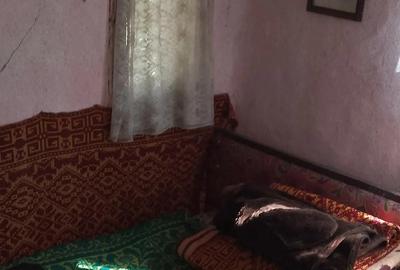 Casă cu 4 camere cu Teren 4200 Mp în Izvoru (Gogoșari) - 1