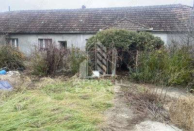 Casă cu 4 camere cu Teren 1509 Mp în Ghiroda - 5