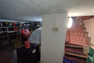 Sanadrei, Casa individuala, Suprafata teren generos, Garaj, terase si anexe - 10