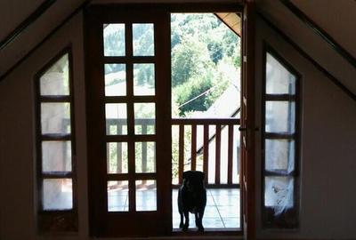 Casă cu 6 camere în Câmpeni - 9