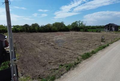 Teren Construcții intravilan de 1660 mp, în Rădulești - 6