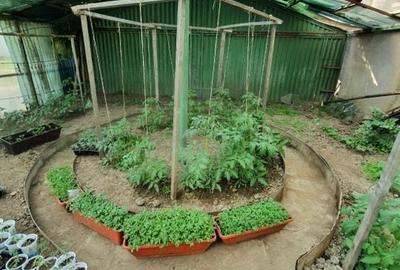 Casa | 9 camere | Garaj | Piscina | Teren 3.000 mp | Comision 0% Casa | 9 camere | Garaj | Piscina | Teren 3.000 mp | Comision 0% - 26