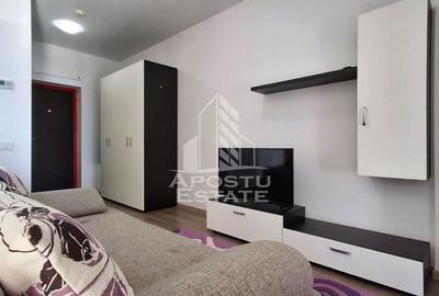 Apartament cu 2 camere semidecomandat, mobilat în Micălaca - 10