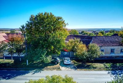 Casă cu 2 camere cu Teren 2261 Mp în Pișchia - 10