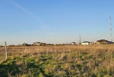 Veterani , teren imprejmuit - 5