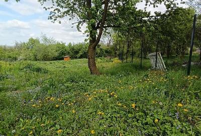 Teren de 1500 mp, în Central