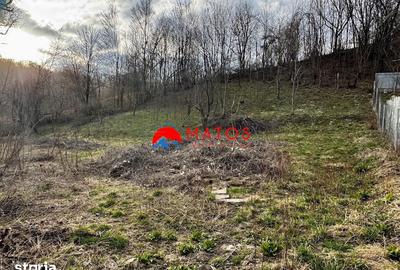 Casă cu 3 camere decomandat cu Teren 1554 Mp în Poiana - 3