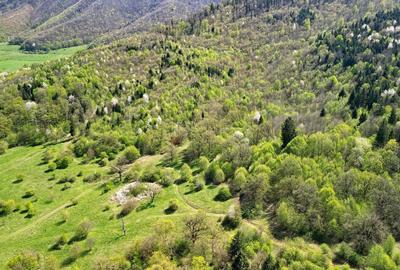 Teren Intravilan parcele 1000mp - 18