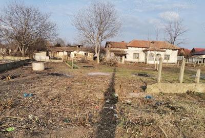 Teren de 1600 mp, în Țigănești - 3