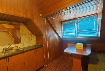 BARBU VACARESCU-LACUL TEI vila 7 camere - 10