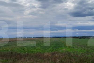 Teren de 21750 mp, în Semicentral - 1