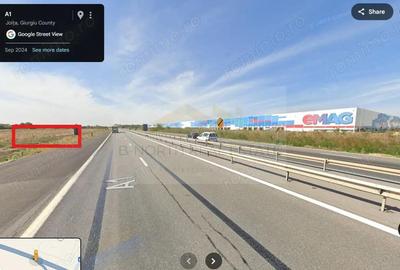 Teren de 10000 mp, în Ciorogârla - 2