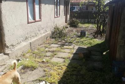 Casă cu Teren 900 Mp în Ciocănești - 1