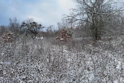 Teren de 2880 mp, în Mustești - 1