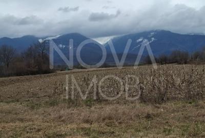 Teren agricol extravilan de 2100 mp, în Arpașu de Sus - 7