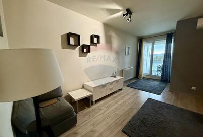 Apartament cu 1 camera de inchiriat, langa Iulius Mall - 5
