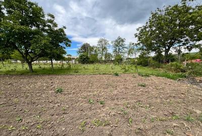 Casă individuală cu 4 camere cu Teren 4430 Mp în Tecucelu Sec - 32