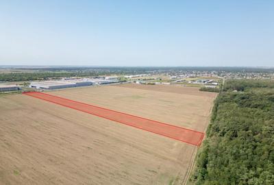 Teren Vanzare Intravilan Branesti investitie Zona Industrial - 21