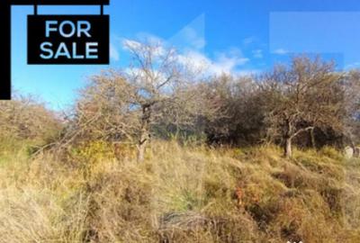 Teren de 1000 mp, în Feleacu