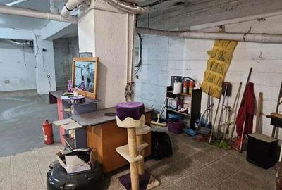 Militari spatiu subsol 272 mp - 14