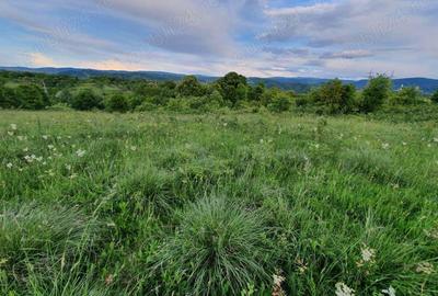 Teren Resita 4350 mp centura Resitei Terova-km 8 negociabil - 3
