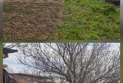 Casă cu Teren 1439 Mp în Ianova - 3