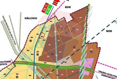 Teren agricol intravilan de 30000 mp, în Nord - 6