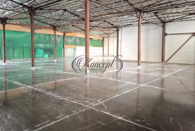 Hala ideala pentru productie sau logistica, pe Calea Baciului - 2