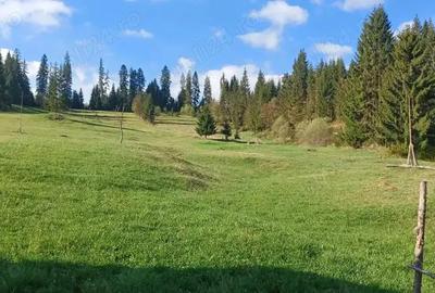 Teren de 28307 mp, în Coșna - 12