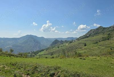 Teren de 4719 mp, în Râmeț - 1