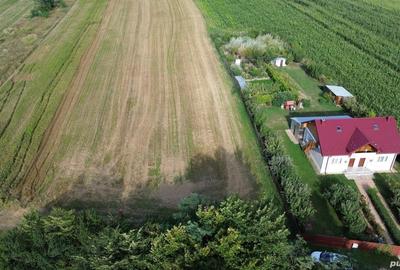 Teren de 11000 mp, în Lăceni - 7