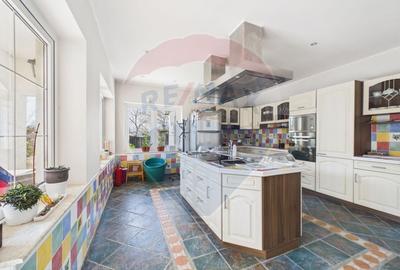 Proprietate specială, de 608 mp, în Mogoșoaia - 19