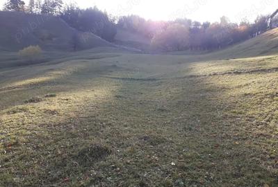 Teren de 13700 mp, în Nereju - 7