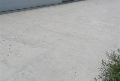 Spațiu comercial, de 550 mp, în Lunca Cetățuii - 9