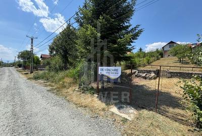 Casa cu 3 camere si teren | 111mp utili 450mp teren | Daia Noua | EXCLUSIVITATE - 2