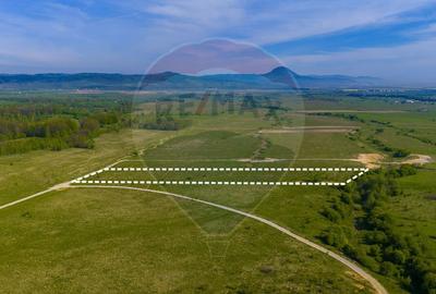 Teren agricol extravilan de 13800 mp, în Glăjărie - 5