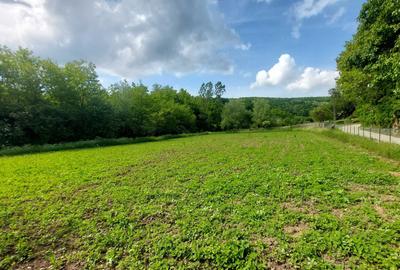 Casă cu 4 camere în Zlatna - 2