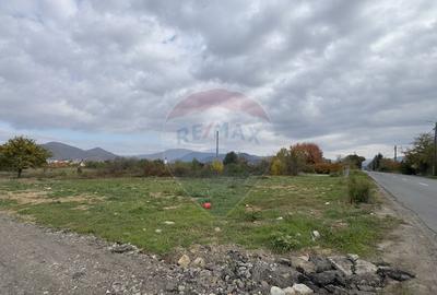 Teren de vanzare Str. Dumbravei, cu front la centura... - 3