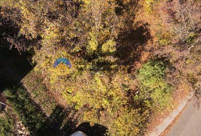 Teren intravilan de vanzare - Piatra Neamt Teren intravilan de vanzare - Piatra Neamt - 15