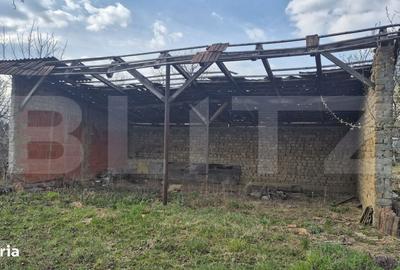 Spațiu comercial, în Micula - 6