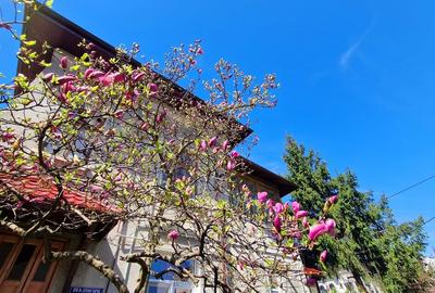 Apartament decomandat în Cotroceni