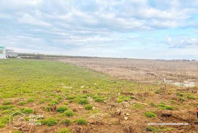 Parcela Teren Sanandrei cu comision 0% Parcela Teren Sanandrei cu comision 0% - 2