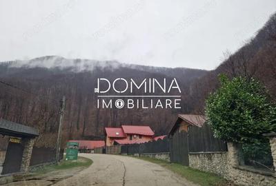 Teren de 4416 mp, în Peștișani