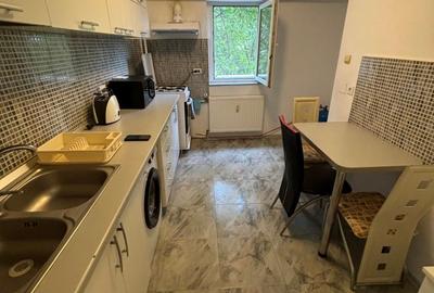 Apartament 2 camere - CENTRAL, SPITALUL JUDETEAN, BD. MIRCEA, mobilat si utilat - 5