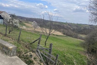 Teren de 5000 mp, în Bucuroaia - 5