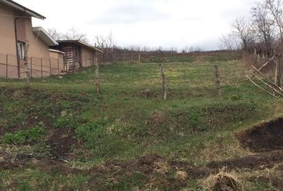 Teren de 900 mp, în Lipovăț - 3